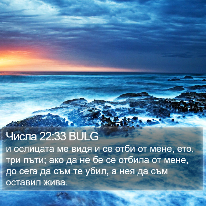 Числа 22:33 BULG Bible Study