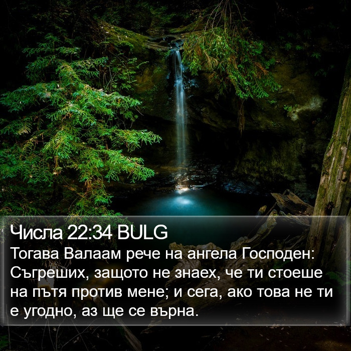 Числа 22:34 BULG Bible Study