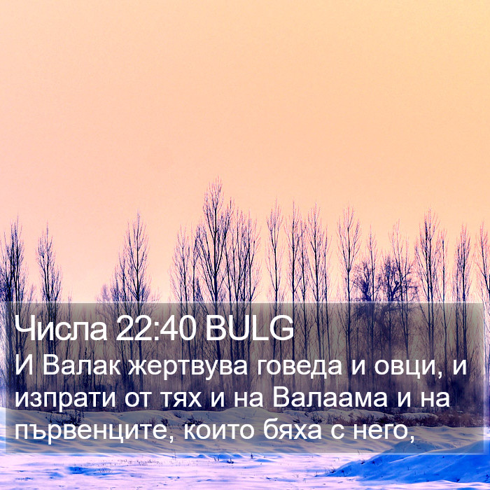 Числа 22:40 BULG Bible Study