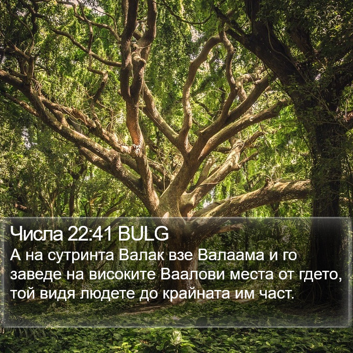 Числа 22:41 BULG Bible Study