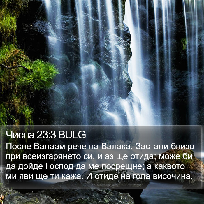 Числа 23:3 BULG Bible Study