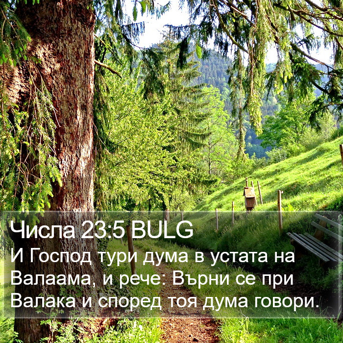 Числа 23:5 BULG Bible Study