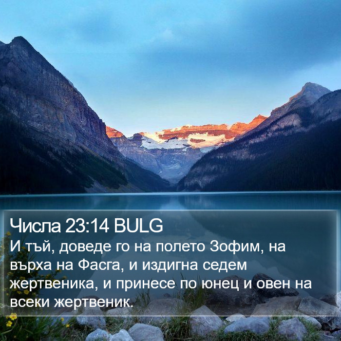 Числа 23:14 BULG Bible Study