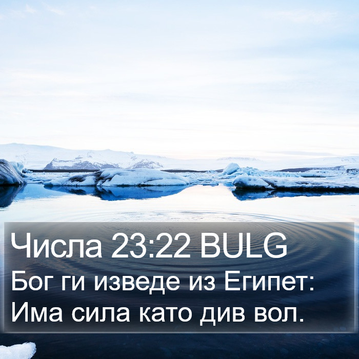 Числа 23:22 BULG Bible Study