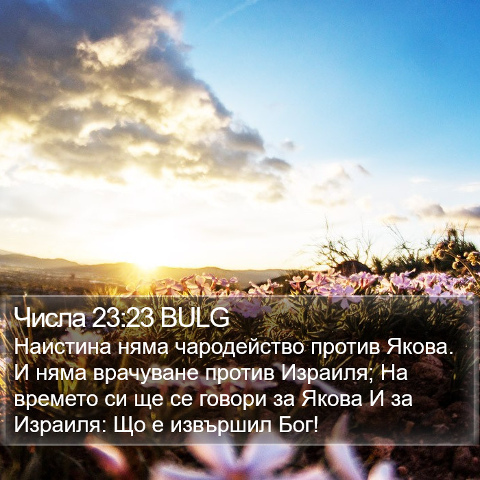 Числа 23:23 BULG Bible Study