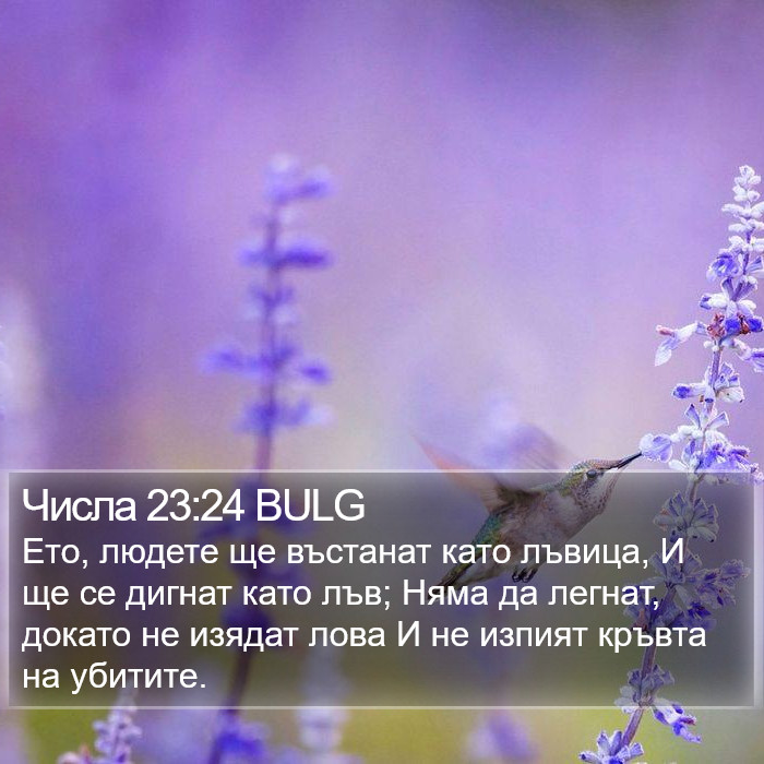 Числа 23:24 BULG Bible Study