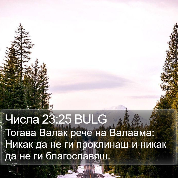 Числа 23:25 BULG Bible Study