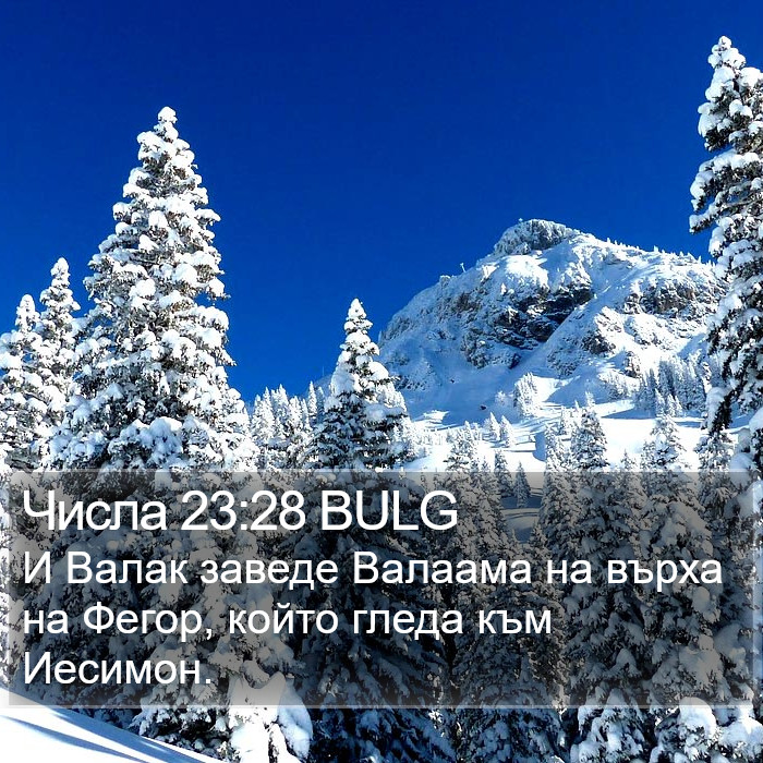 Числа 23:28 BULG Bible Study