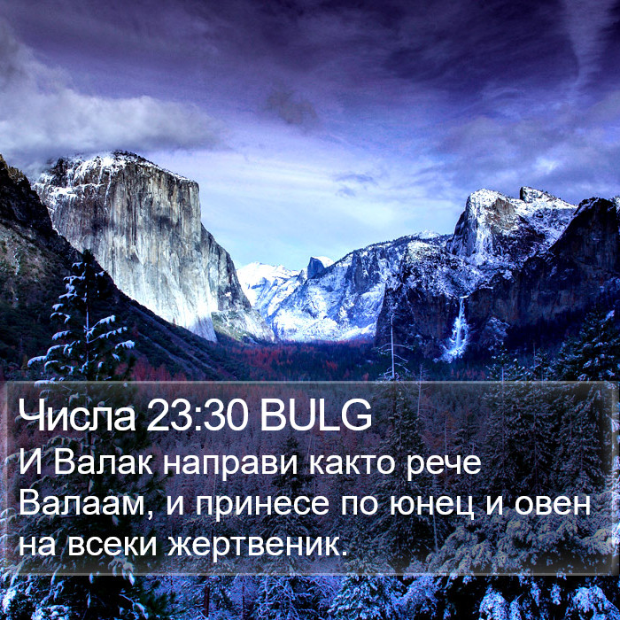 Числа 23:30 BULG Bible Study