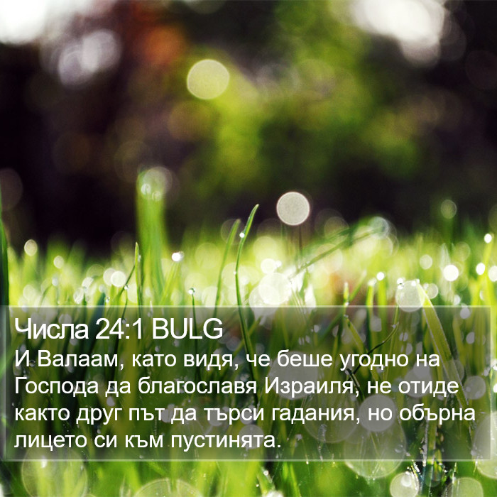 Числа 24:1 BULG Bible Study