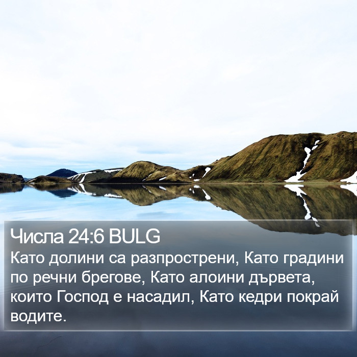 Числа 24:6 BULG Bible Study