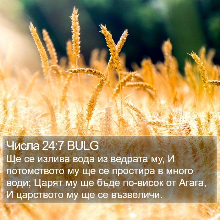 Числа 24:7 BULG Bible Study