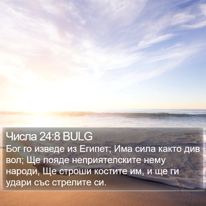 Числа 24:8 BULG Bible Study