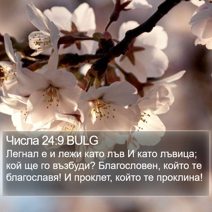 Числа 24:9 BULG Bible Study