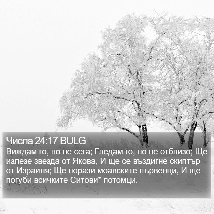 Числа 24:17 BULG Bible Study