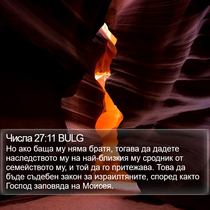 Числа 27:11 BULG Bible Study