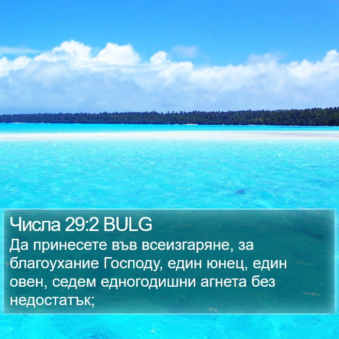 Числа 29:2 BULG Bible Study