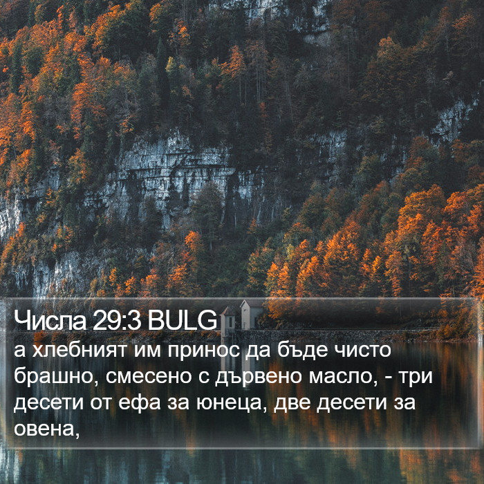 Числа 29:3 BULG Bible Study