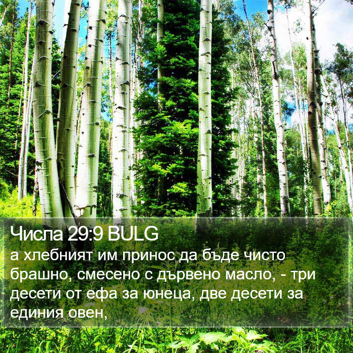 Числа 29:9 BULG Bible Study