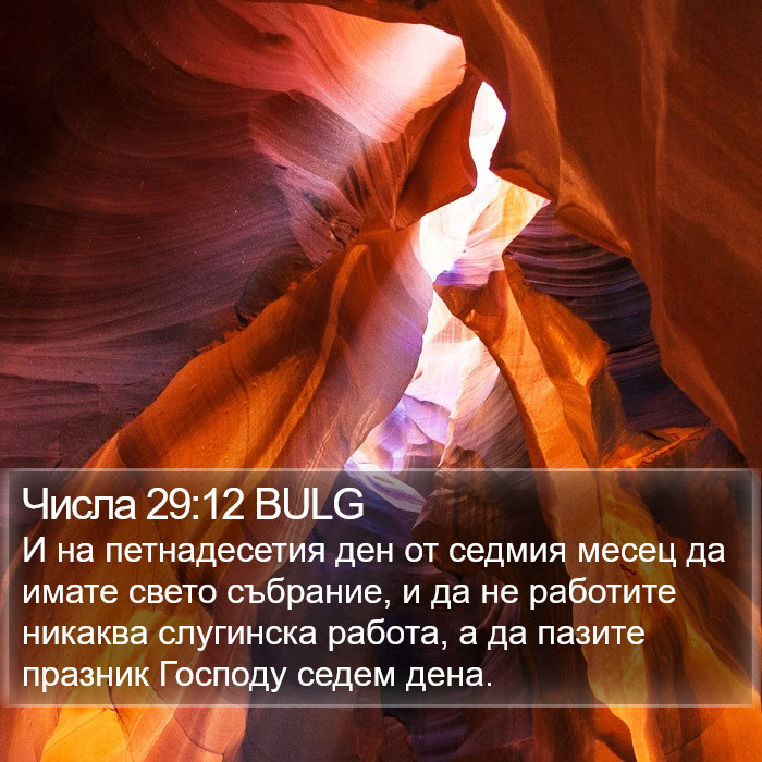 Числа 29:12 BULG Bible Study