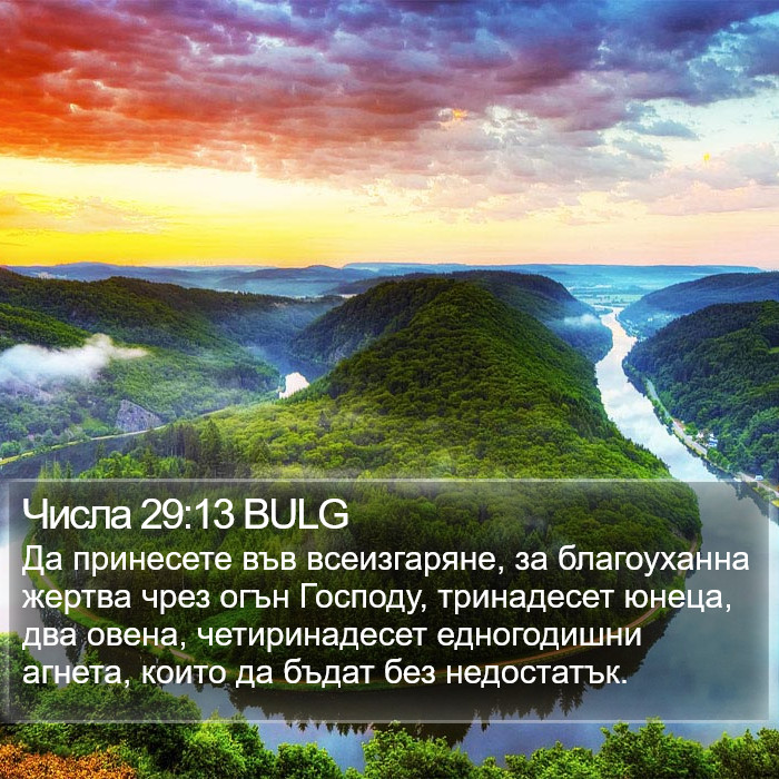 Числа 29:13 BULG Bible Study