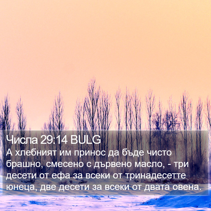 Числа 29:14 BULG Bible Study