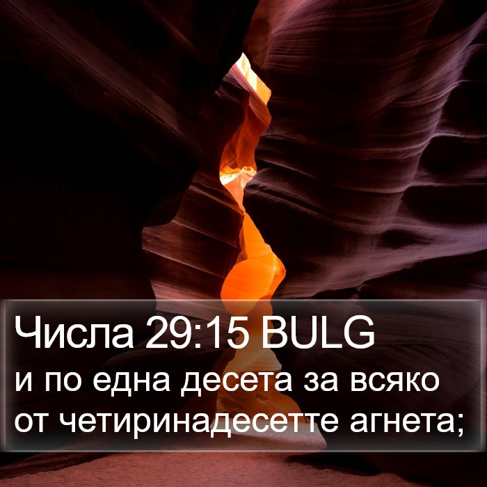 Числа 29:15 BULG Bible Study