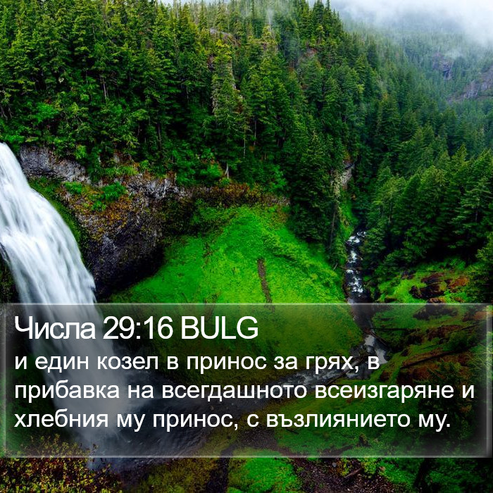 Числа 29:16 BULG Bible Study