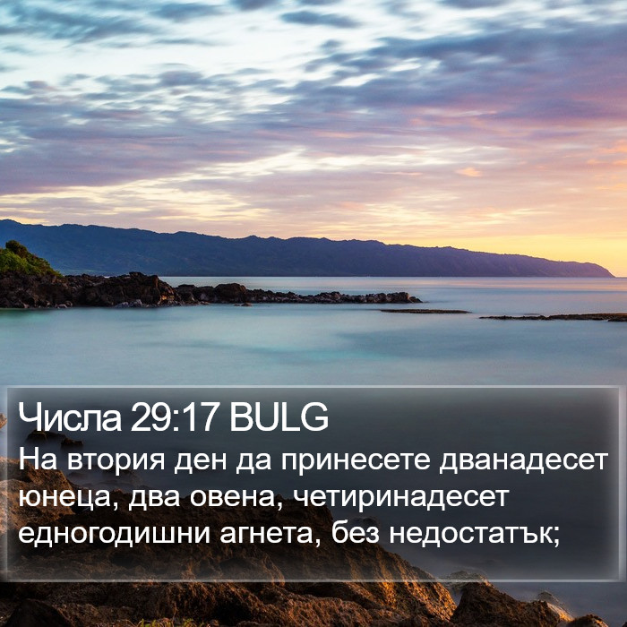Числа 29:17 BULG Bible Study