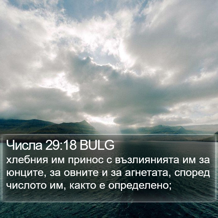 Числа 29:18 BULG Bible Study