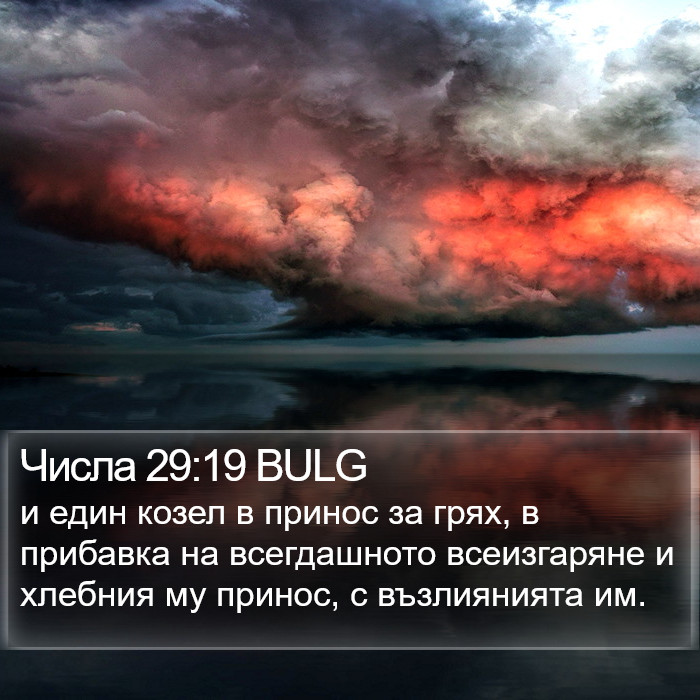 Числа 29:19 BULG Bible Study