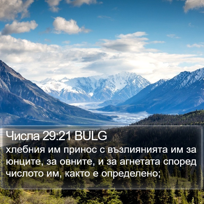 Числа 29:21 BULG Bible Study