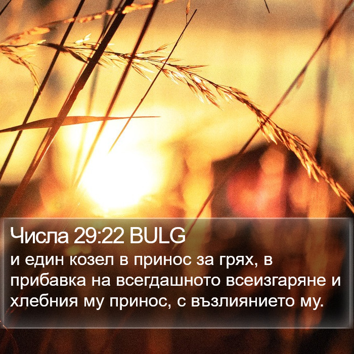 Числа 29:22 BULG Bible Study