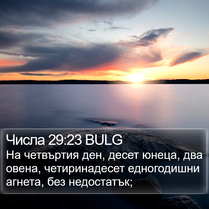 Числа 29:23 BULG Bible Study