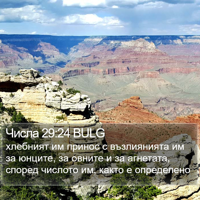 Числа 29:24 BULG Bible Study