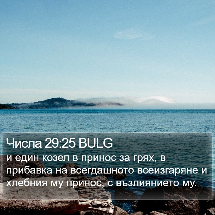 Числа 29:25 BULG Bible Study