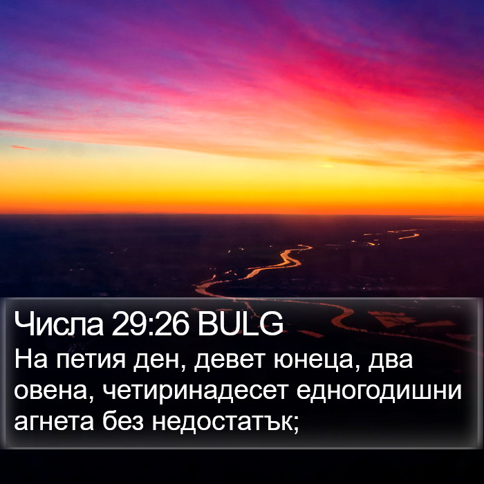 Числа 29:26 BULG Bible Study