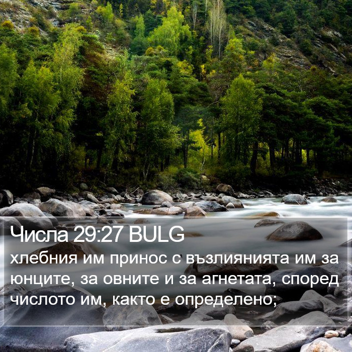 Числа 29:27 BULG Bible Study