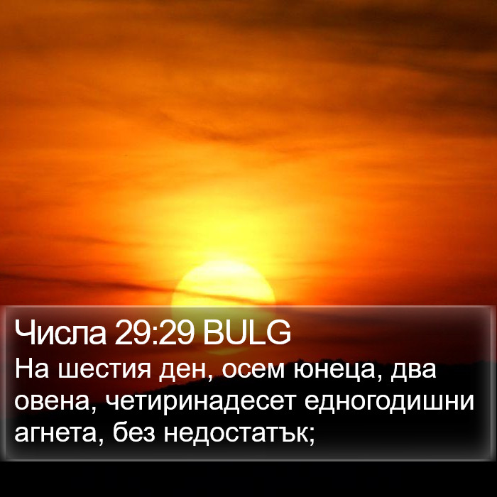 Числа 29:29 BULG Bible Study
