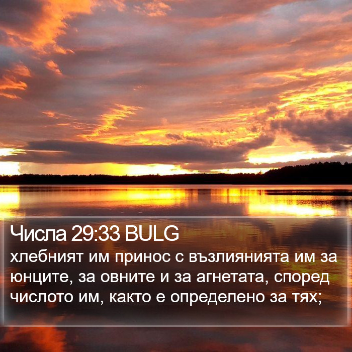 Числа 29:33 BULG Bible Study