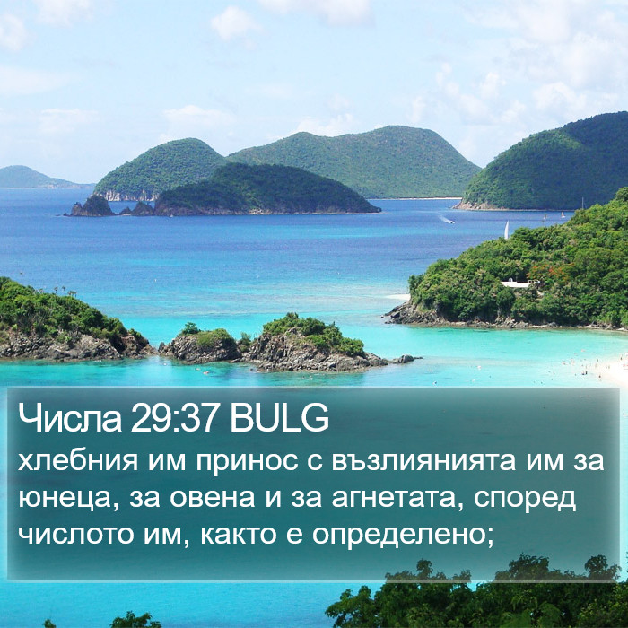 Числа 29:37 BULG Bible Study
