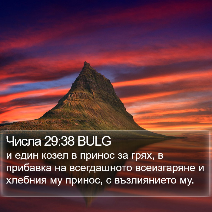 Числа 29:38 BULG Bible Study