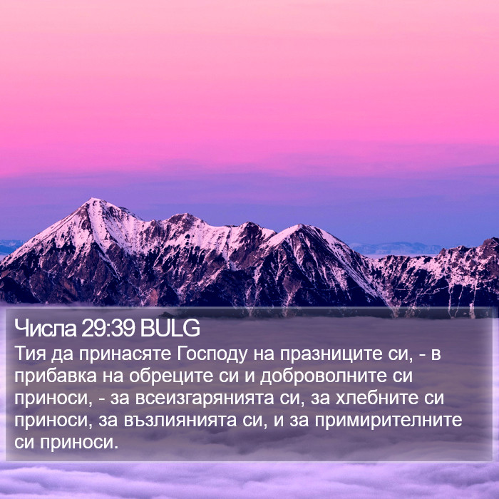 Числа 29:39 BULG Bible Study