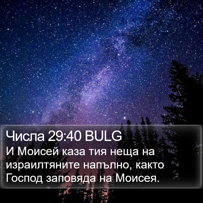 Числа 29:40 BULG Bible Study