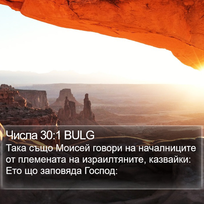 Числа 30:1 BULG Bible Study