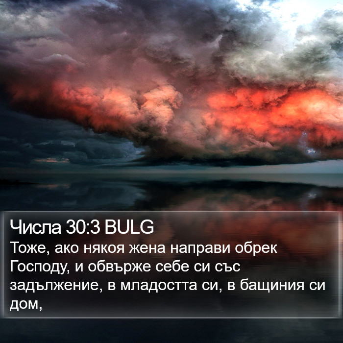 Числа 30:3 BULG Bible Study