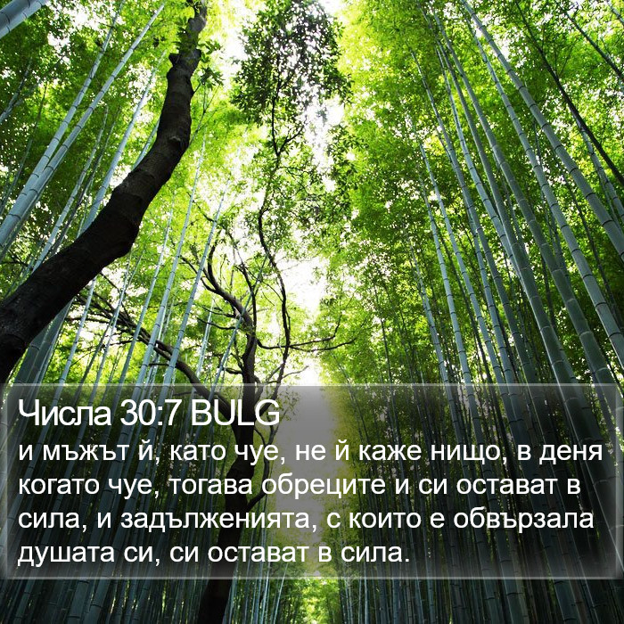 Числа 30:7 BULG Bible Study