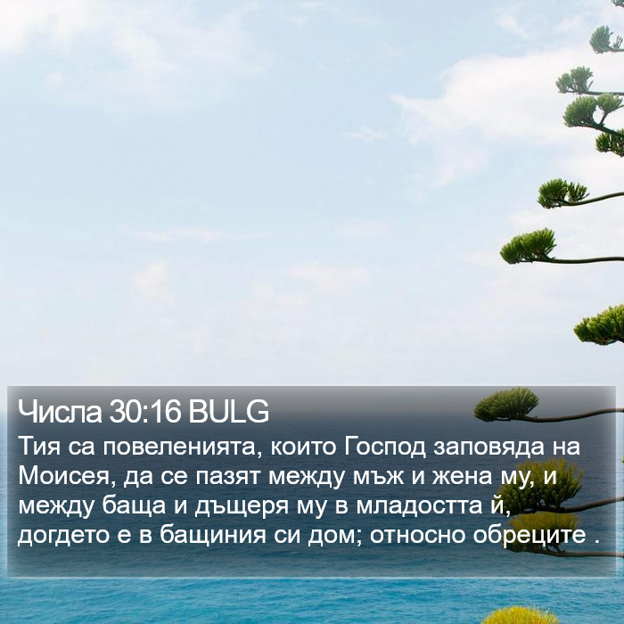 Числа 30:16 BULG Bible Study