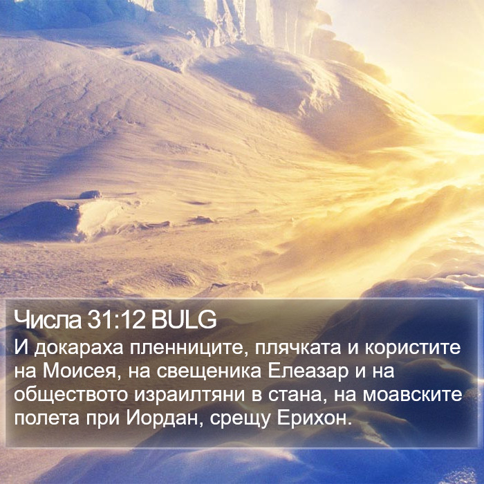 Числа 31:12 BULG Bible Study