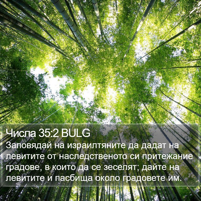 Числа 35:2 BULG Bible Study